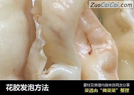 花胶发泡方法