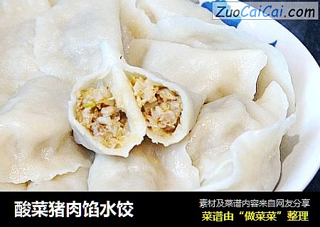 酸菜猪肉馅水饺