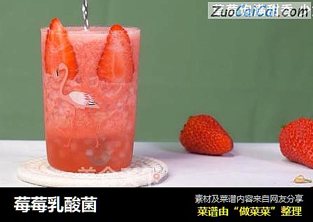莓莓乳酸菌