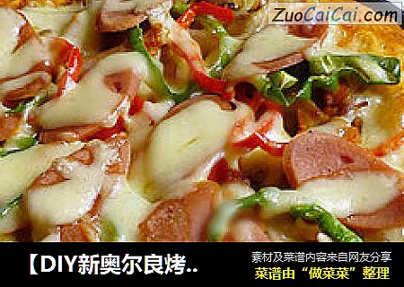 【DIY新奥尔良烤肉披萨】新手也精彩-----鸡腿什锦披萨