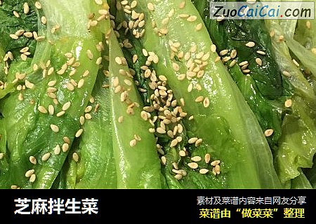 芝麻拌生菜