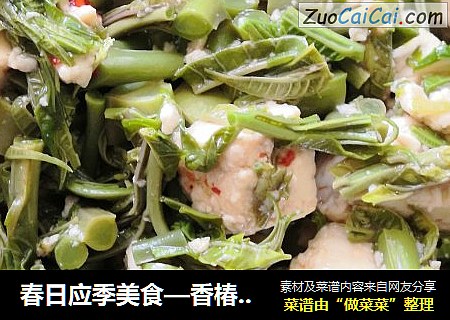 春日应季美食—香椿拌豆腐