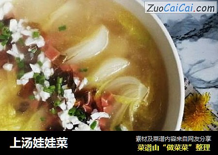 上汤娃娃菜