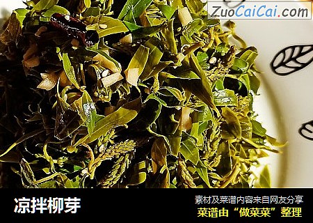 凉拌柳芽