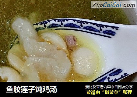 鱼胶莲子炖鸡汤
