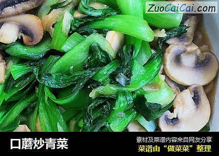 口蘑炒青菜