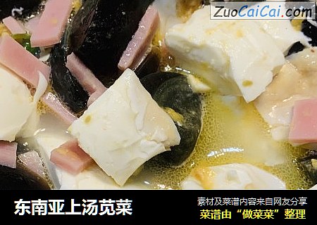 东南亚上汤苋菜