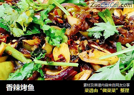 香辣烤鱼