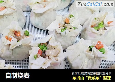 自制烧麦