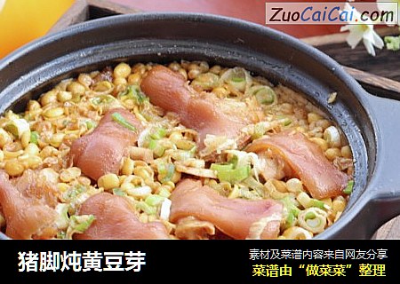 猪脚炖黄豆芽
