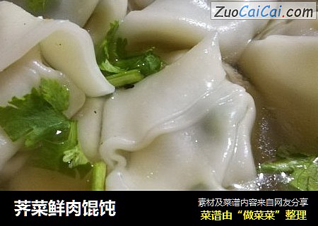 荠菜鲜肉馄饨