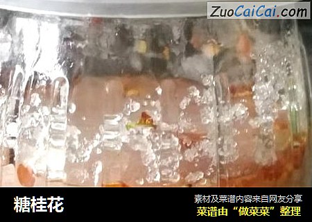 糖桂花