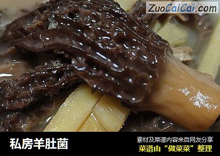 私房羊肚菌