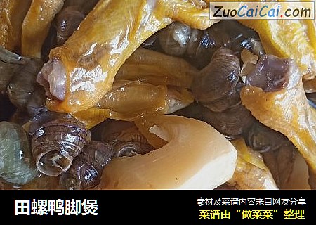 田螺鸭脚煲