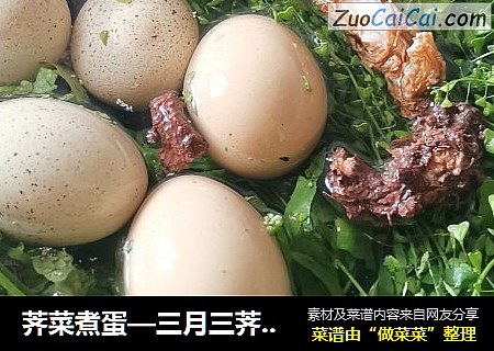 荠菜煮蛋—三月三荠菜赛灵丹