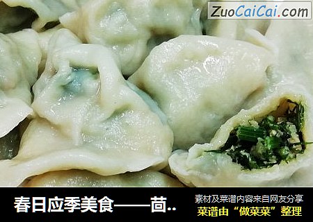 春日应季美食——茴香苗猪肉馅饺子