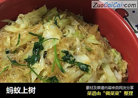 蚂蚁上树