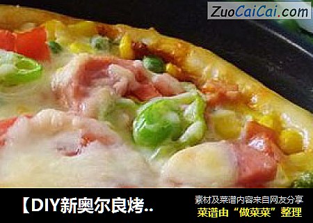 【DIY新奥尔良烤肉披萨】零技巧---什锦香肠披萨