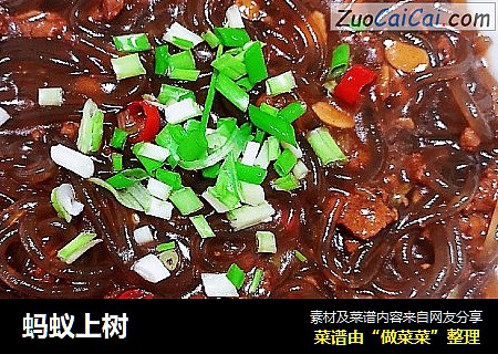 蚂蚁上树