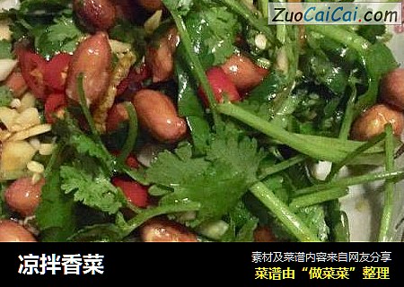 凉拌香菜