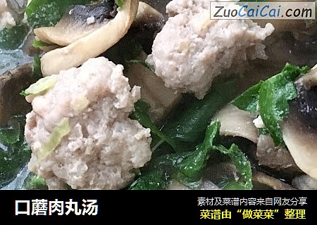 口蘑肉丸汤