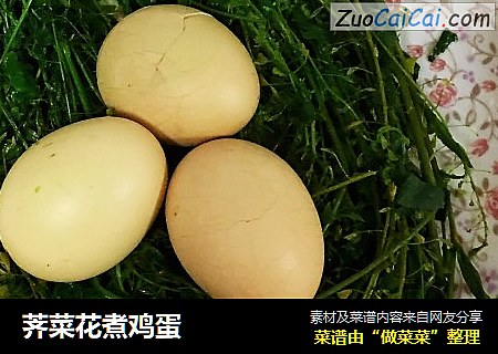 荠菜花煮鸡蛋