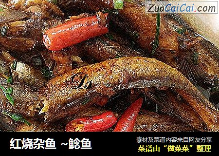 红烧杂鱼 ~鲶鱼