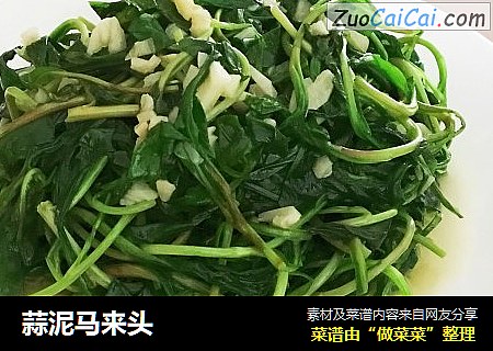 蒜泥马来头