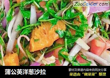 蒲公英洋葱沙拉