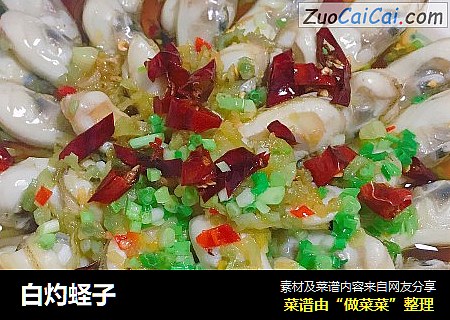 白灼蛏子