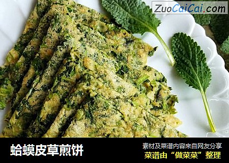 蛤蟆皮草煎饼