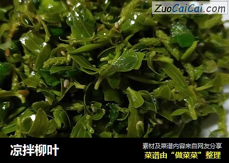 凉拌柳叶