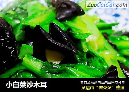 小白菜炒木耳