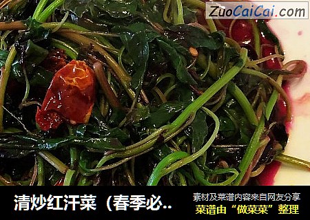 清炒红汗菜（春季必吃）