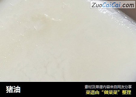 猪油