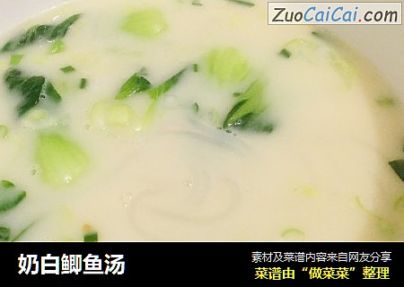 奶白鲫鱼汤