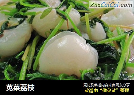 苋菜荔枝