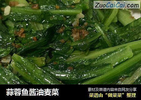 蒜蓉鱼酱油麦菜