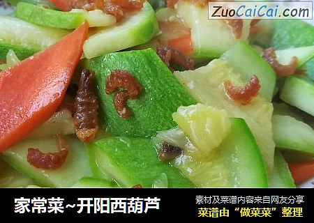 家常菜~开阳西葫芦