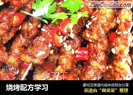 烧烤配方学习