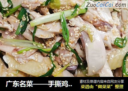 广东名菜——手撕鸡??