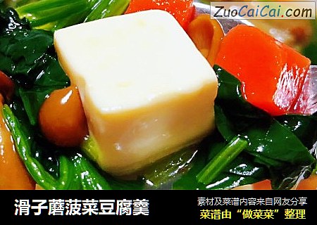 滑子蘑菠菜豆腐羹