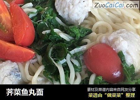 荠菜鱼丸面