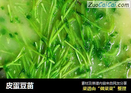 皮蛋豆苗