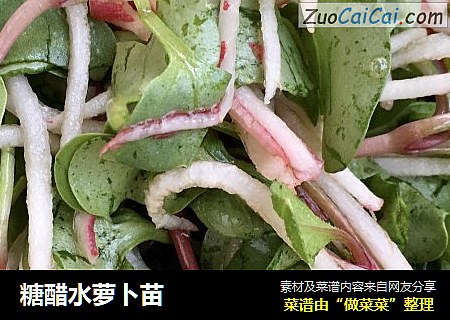 糖醋水萝卜苗