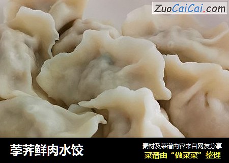 荸荠鲜肉水饺