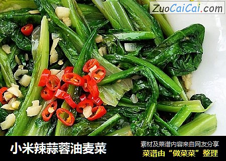 小米辣蒜蓉油麦菜