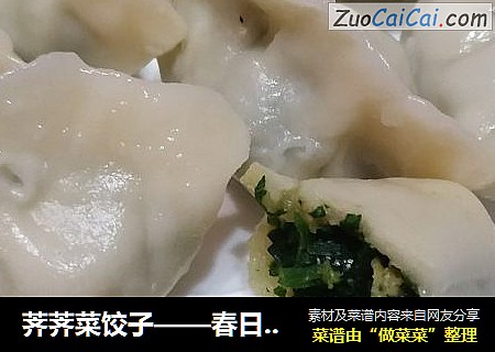 荠荠菜饺子——春日美味