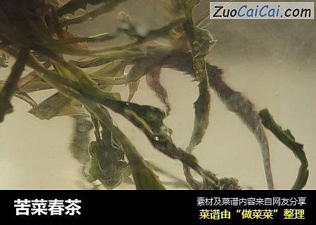 苦菜春茶