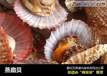 蒸扇贝